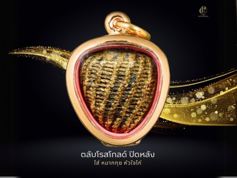 ตลับโกลด์ ปิดหลัง